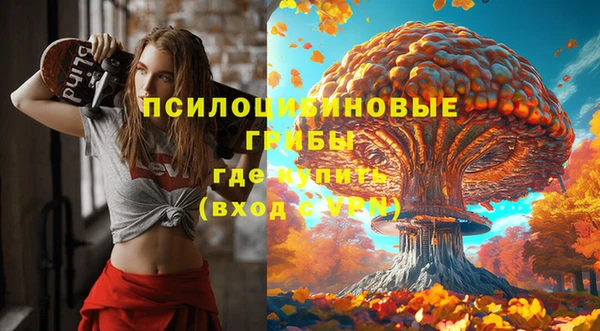 гидра Алзамай