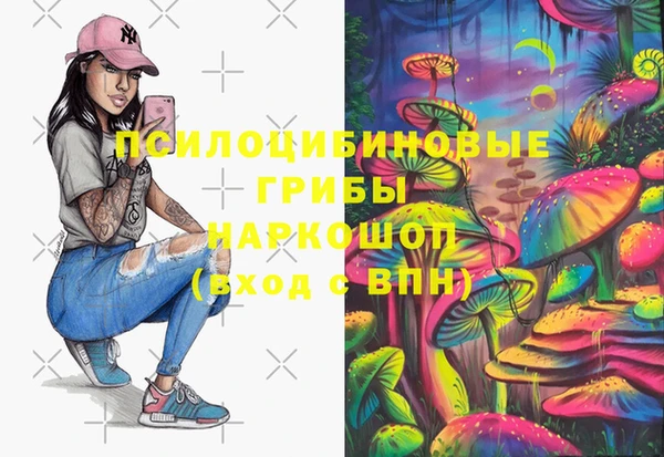 гидра Алзамай