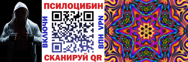 Галлюциногенные грибы мицелий купить закладку Тосно