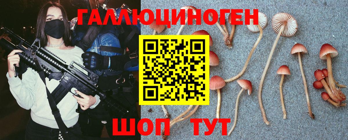 Псилоцибиновые грибы ЛСД Тосно