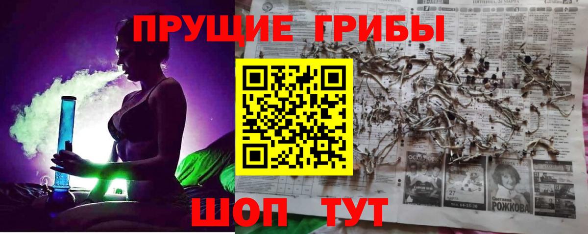Тосно  Галлюциногенные грибы Psilocybine cubensis  Вход с VPN  где можно купить наркотик  Галлюциногенные грибы Magic Shrooms 